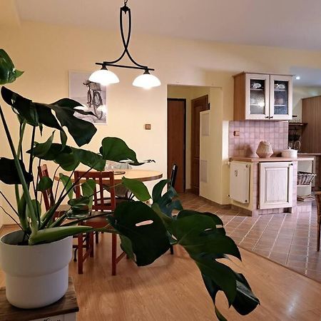 Home In The Heart Of The City Bratislava Ngoại thất bức ảnh