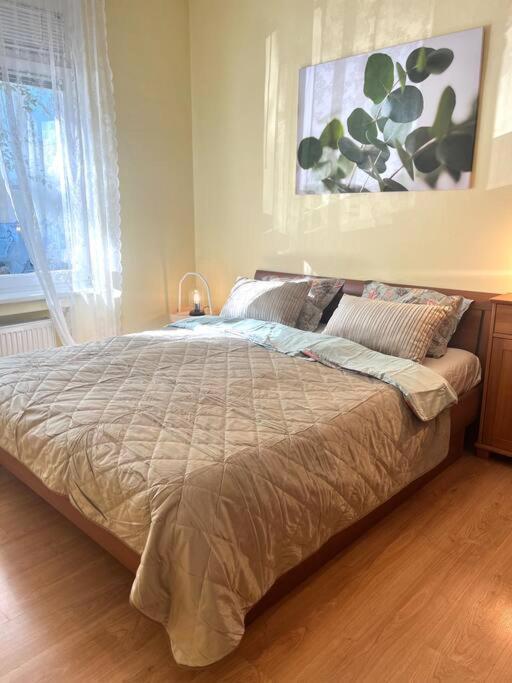 Home In The Heart Of The City Bratislava Ngoại thất bức ảnh