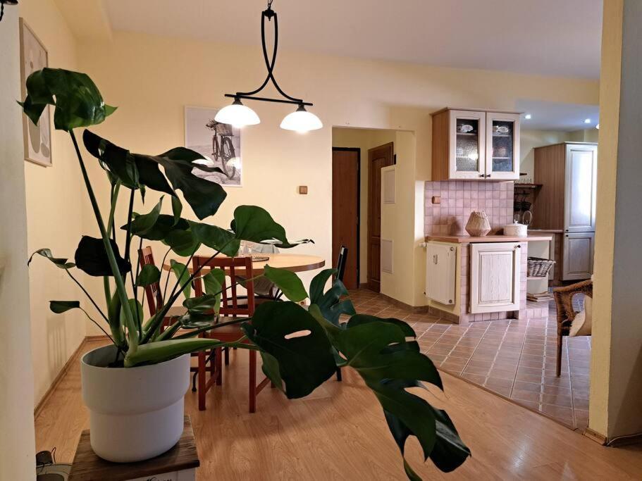 Home In The Heart Of The City Bratislava Ngoại thất bức ảnh