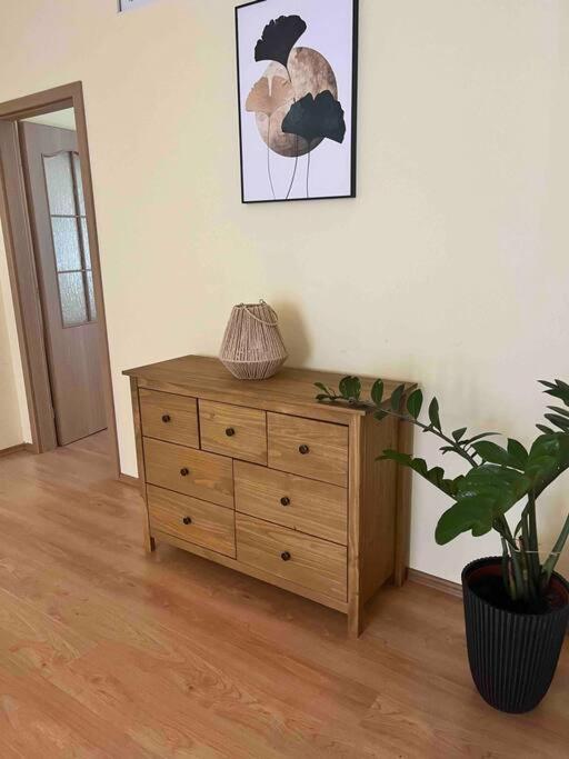 Home In The Heart Of The City Bratislava Ngoại thất bức ảnh